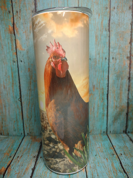 Sunrise Rooster